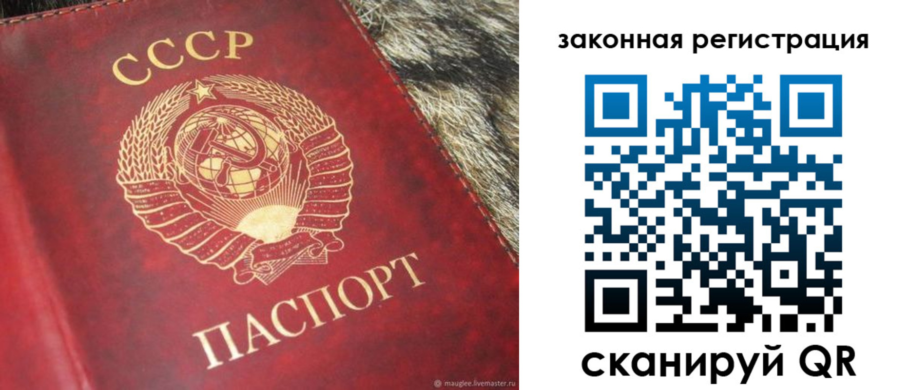 прописка от собственника в Ершове